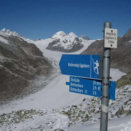 דירה Apartment In Fieschertal With Swiss Alps Views