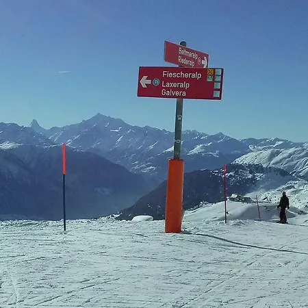 Apartment In Fieschertal With Swiss Alps Views Appartement *