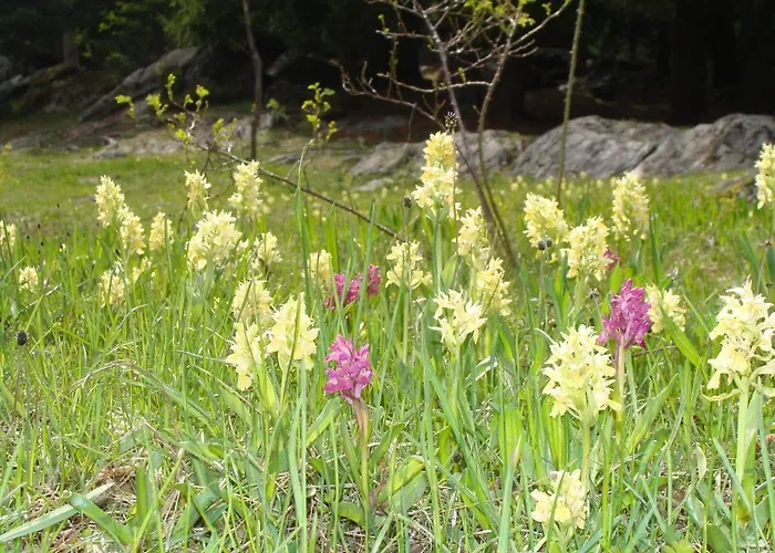 Apartment In Fieschertal With Swiss Alps Views