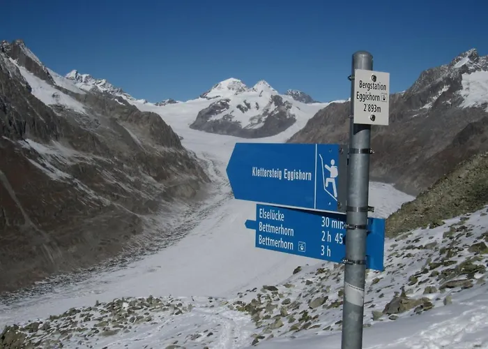 アパート Apartment In Fieschertal With Swiss Alps Views