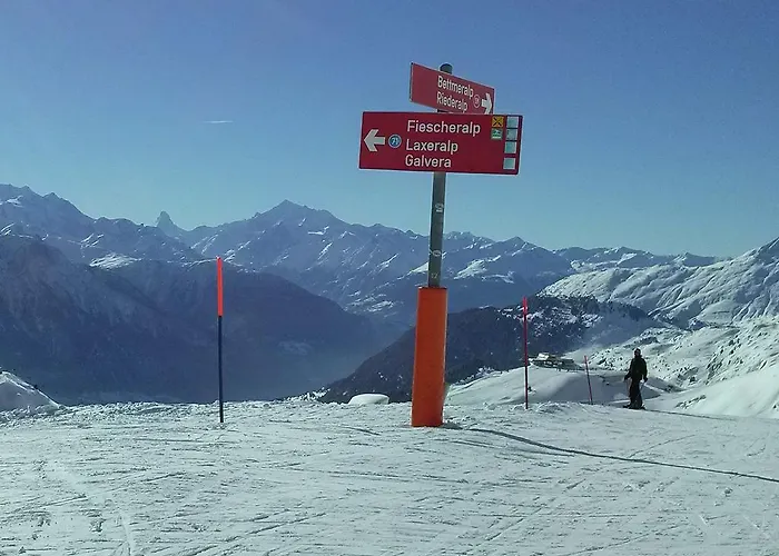 Apartment In Fieschertal With Swiss Alps Views דירה *