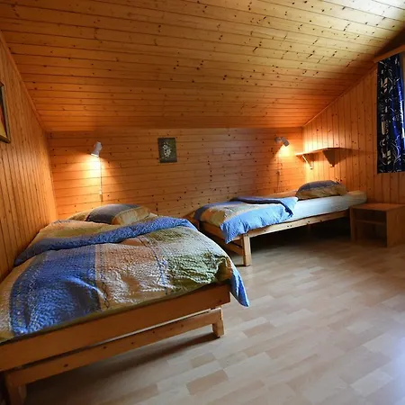Apartment In Fieschertal With Swiss Alps Views 公寓 *