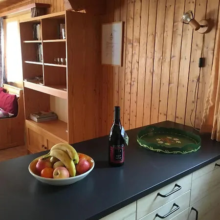 Apartment In Fieschertal With Swiss Alps Views 公寓